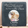Personalized Memorial Pet Square Lithograph - Gift Idea For Dog/Cat Lovers - Best Friends Come Into Our Lives And Leave Paw Prints On Our Hearts