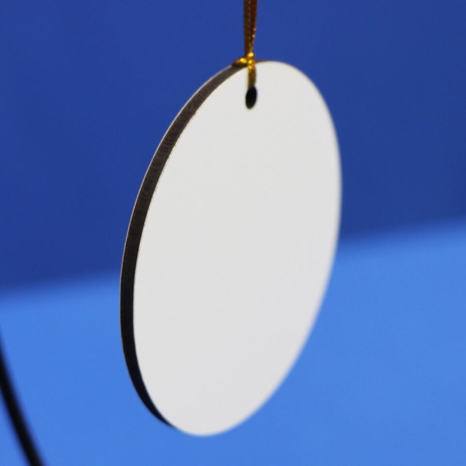 Personalized Christmas Naughty Pets Ornament - Up to 5 Dogs/Cats - Christmas Gift For Dog/Cat Lovers - The Reason Santa Has A Naughty List