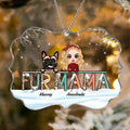 Personalized Dog/Cat Mom Rectangle Acrylic Ornament - Gift Idea For Dog/Cat Lovers - Up To 5 Cats/Dogs - Fur Mama