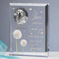 Personalized Memorial Pet Photo Rectangle Acrylic Plaque - Memorial Gift For Pet Owners - If Love Could Have Saved You You Would Have Lived Forever
