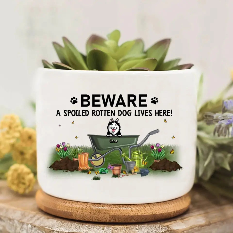Personalized Garden And Dog Plant Pot - Gift Idea For Dog/Garden Lover - Up to 4 Dogs - Beware A Spoiled Rotten Dog Lives Here