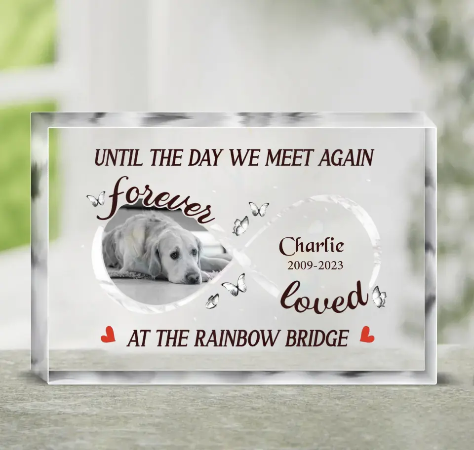 Personalized Memorial Acrylic Plaque - Upload Photo - Memorial Gift Idea For Dog Owners - Until The Day We Meet Again At The Rainbow Bridge