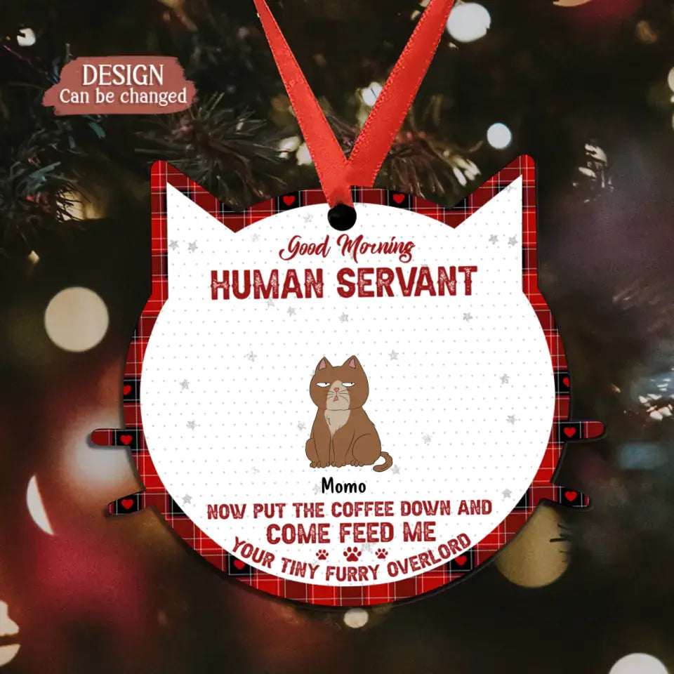 Personalized Cat Acrylic Ornament - Up to 6 Cats - Christmas Gift Idea for Cat Lovers - Good Morning Human Servant