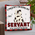 Personalized Cat Pillow Cover - Up to 6 Cats - Christmas Gift Idea for Cat Lovers - Congrats On Being My Servant