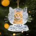Personalized Cat Loss Acrylic Ornament - Memorial Gift Idea For Cat Lover - Upload Photo - You Were My Favorite Hello, And My Hardest Goodbye