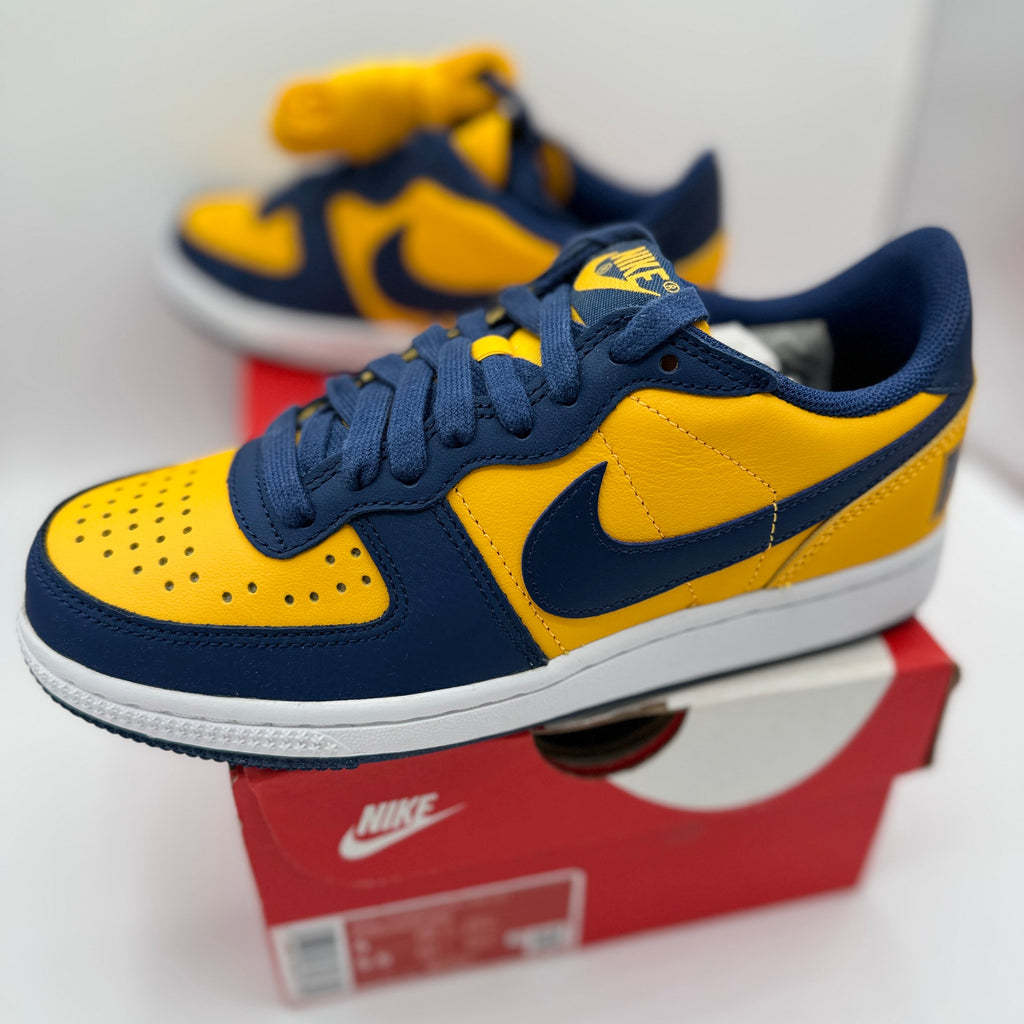 Nike Terminator Low in University Gold / Navy Blue “ Michigan “ Unisex Shoes