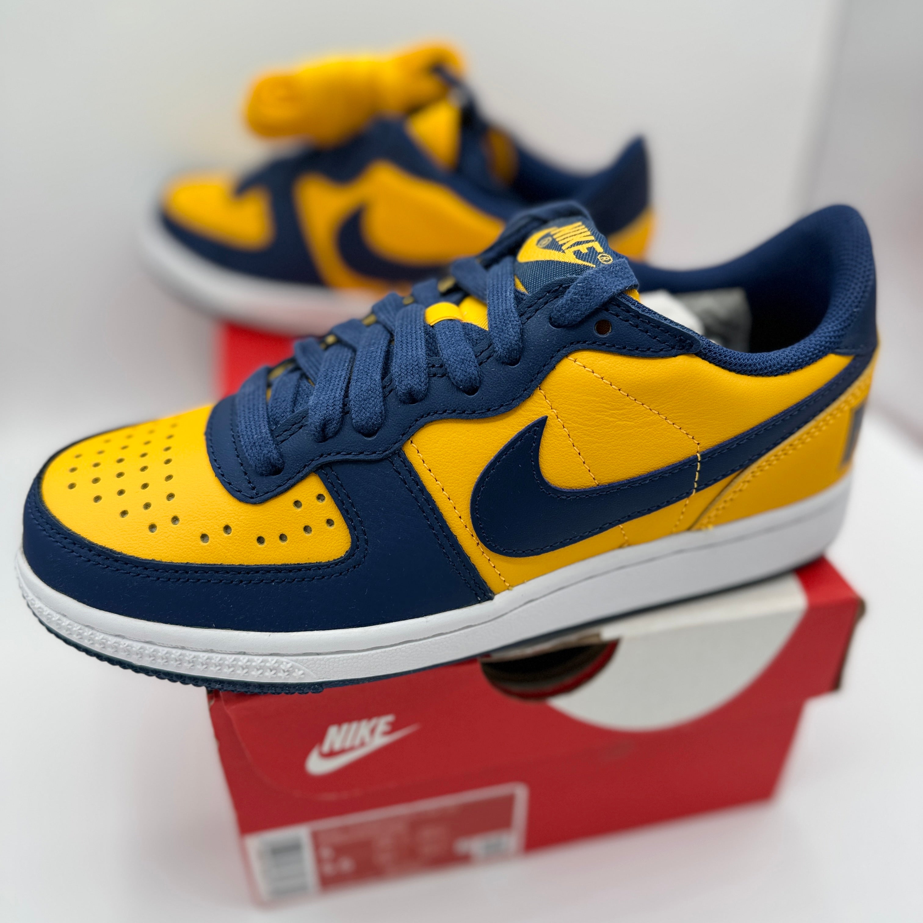 Nike Terminator Low in University Gold / Navy Blue “ Michigan “ Unisex Shoes